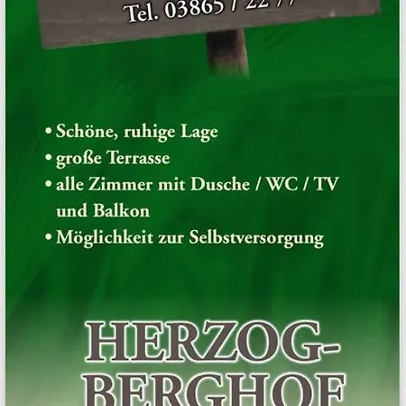 Herzogberghof Fam. Singer Kindberg