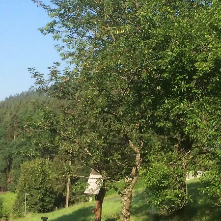 Herzogberghof Fam. Singer Alloggio in famiglia